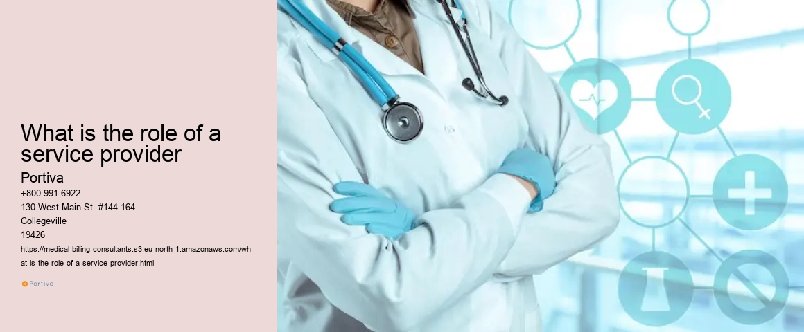 What is the role of a service provider